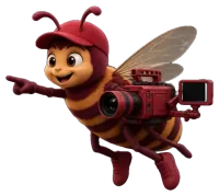 Bee guide with a camera