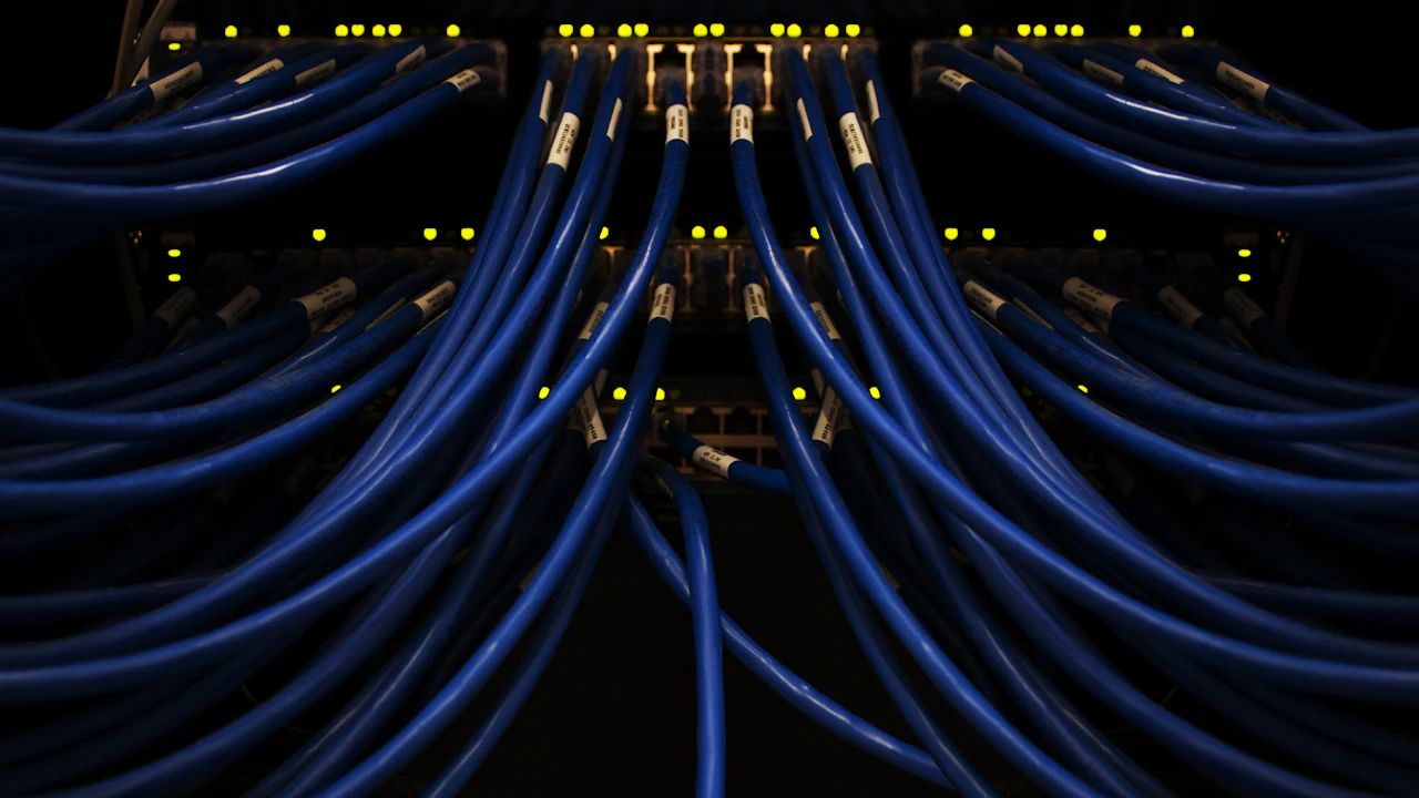 Blue network cables in a switch