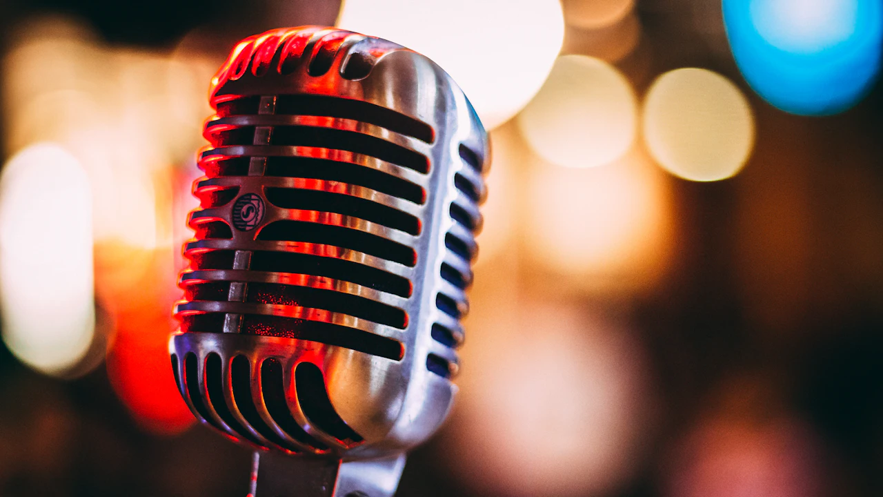 A condenser microphone